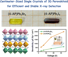 Graphical abstract: Centimeter-sized single crystals of 3D perovskitoid (4-AP)Pb2X6 (X = Br, I) for efficient and stable X-ray detection