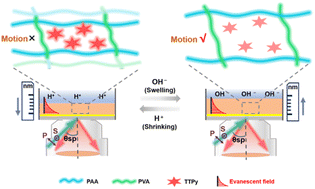 Graphical abstract: Nano-visualization of hydrogel dynamics via surface plasmon-enhanced aggregation-induced emission