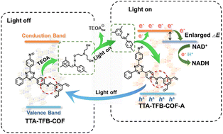 Graphical abstract: Triethanolamine-activated imine-linked covalent organic frameworks for highly efficient NADH generation