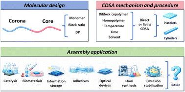 Graphical abstract: Synthesis and applications of 1D and 2D nanoparticles prepared through crystallisation-driven self-assembly
