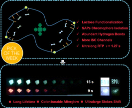 Graphical abstract: Ultralong organic room-temperature phosphorescence of tetraphenylene via lactose functionalization and chromophore isolation