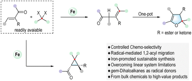 Graphical abstract: Iron-mediated reactions of gem-dihaloalkanes with α,β-unsaturated carbonyl compounds