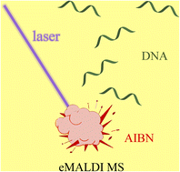 Graphical abstract: eMALDI MS and oligonucleotide analysis