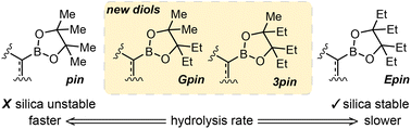 Graphical abstract: Goldilocks boronic esters: optimized properties through understanding hydrolysis kinetics
