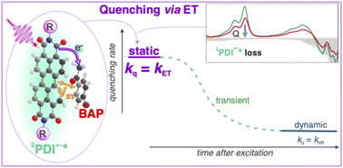 Graphical abstract: Evidence of static quenching in the photoredox activity of perylene diimide radical anions: implications for consecutive photoinduced electron transfer photocatalysis