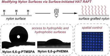 Graphical abstract: Grafting polymer brushes from nylon surfaces via hydrogen atom transfer