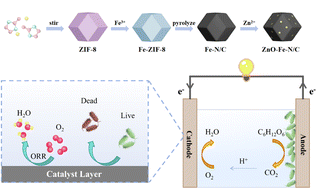Graphical abstract: ZnO-Fe-N/C bimetallic electrocatalysts with antibacterial activity for durable oxygen reduction in microbial fuel cells