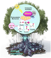Graphical abstract: Advances in interfacial engineering of MXene-based photocatalysts for solar CO2 conversion