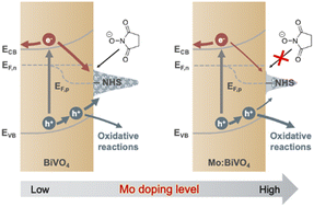 Graphical abstract: Mitigating redox mediator-induced surface recombination for efficient photoelectrocatalytic benzyl alcohol oxidation on Mo-doped bismuth vanadate