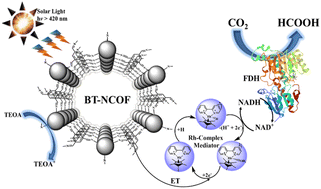 Graphical abstract: Mimicking natural photosynthesis: converting sunlight into solar fuel via a sustained photo-enzymatic catalytic system based on BT-NCOF architecture