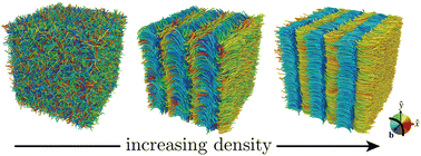 Graphical abstract: Shape elasticity in colloidal bent-core liquid crystals