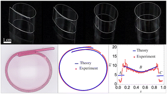 Graphical abstract: Adhesive tape loops