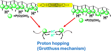 Graphical abstract: Influence of rigid–soft domains on proton conduction and microstructure in block copolymer membranes
