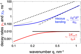 Graphical abstract: Equilibrium fluctuations of a quasi-spherical vesicle: role of the membrane dissipation