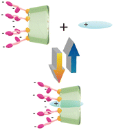 Graphical abstract: Computational study of multicharged cyclodextrin derivatives with deep cavities for high-affinity host–guest recognition