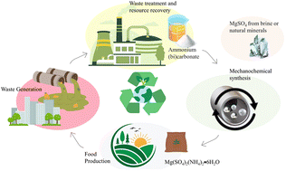 Graphical abstract: Mechanochemically engineered ammonium magnesium-sulfate double salts synthesized from ammonium carbonate for improved nitrogen-use efficiency