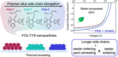 Graphical abstract: Impact of the polymer donor side-chain length on the formation and processing of waterborne nanoparticles for organic solar cells