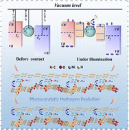 Graphical abstract: HOF-Ni-GDY dual-ohmic-junction engineering: inducing photogenerated electron–hole dual channel separation for boosted hydrogen evolution