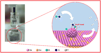 Graphical abstract: Boron-modulated amorphous cobalt layer on Cu foam enabling efficient and stable hydrolysis of ammonia borane