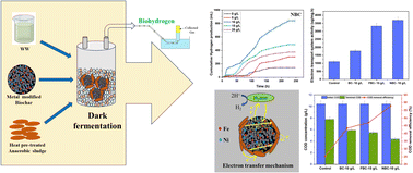 Graphical abstract: Unveiling the potential of pristine and metal-doped biochar for improved fermentative biohydrogen production from whey wastewater