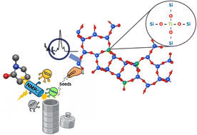 Graphical abstract: Accelerated synthesis of titanium-Beta zeolites using N-methyl-2-pyrrolidone and Beta seeds