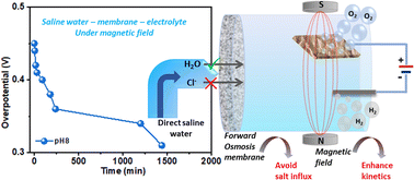 Graphical abstract: Improved electrocatalytic oxidation of artificial seawater with an applied magnetic field in a forward osmosis system