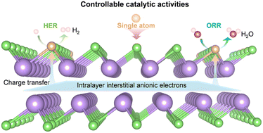 Graphical abstract: Interstitial anionic electrons as spin–charge reservoirs for sterically tuned single-atom catalysis in 2D electrides