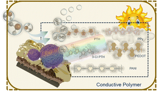 Graphical abstract: Engineering a buried interface using a conductive polymer to mediate carrier behavior for efficient Solar-driven water splitting on a Si-based photocathode