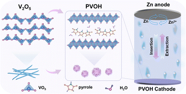 Graphical abstract: Polypyrrole-bridged vanadium oxide hierarchical microspheres for high-rate and durable aqueous Zn-ion storage