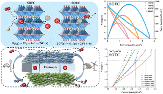 Graphical abstract: A-site high-entropy engineering enables a cobalt-free perovskite air electrode with exceptional activity and durability for reversible solid oxide cells