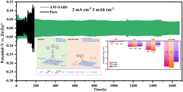 Graphical abstract: Rational design of an organic–anionic electrolyte additive for zinc-ion batteries