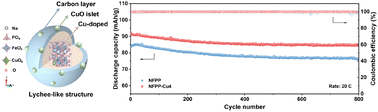Graphical abstract: A synergistic approach combining Cu doping and a CuO/C intertwined network for the Na4Fe3(PO4)2P2O7 cathode: enhancing high-rate performance and structural robustness
