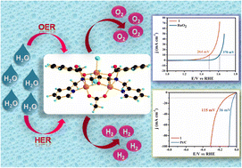 Graphical abstract: Unveiling the role of a trinuclear copper(ii) cluster in bifunctional OER and HER electrocatalysis: insights from experiments and theory