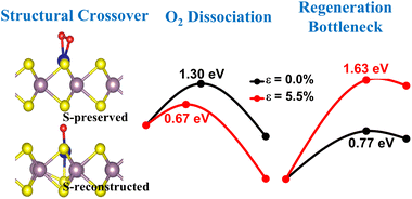 Graphical abstract: Trade-off between O2 activation and active-site regeneration on biaxially strained Co-doped MoS2 monolayers: a density functional theory study