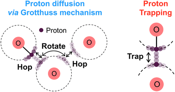 Graphical abstract: Grotthuss-type proton transport governed by oxygen coordination environment in VO2 polymorphs