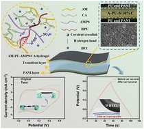 Graphical abstract: Preparation of polyaniline/polyurethane hydrogels for high-performance all-in-one supercapacitors with remarkable pressure-resistance