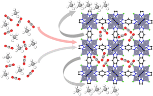Graphical abstract: MFU-4 as a benchmark molecular sieve for efficient CO2/CH4 separation in biogas upgrading