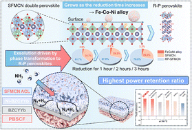 Graphical abstract: Time-phase-controlled exsolution of FeCoNi ternary alloy nanoparticles on perovskite anode catalyst for enhanced dual-functional catalysis and protection in ammonia-fueled protonic ceramic fuel cells