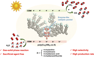 Graphical abstract: Microenvironment engineering of catalytic pockets in copper paddle-wheel-based hypercrosslinked microporous polymers for highly selective CO2 photoreduction