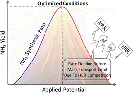 Graphical abstract: Potential-dependent NRR/HER competition and N2 activation mechanism in M1M2@C6N6 bimetallic catalysts