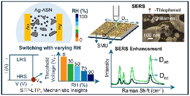 Graphical abstract: Probing Ag filamentary networks in a neuromorphic device using surface-enhanced Raman scattering