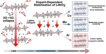 Graphical abstract: Disentangling the role of Al, Co, and Mn dopants in LiNiO2 cathodes via synchrotron-based probes