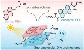 Graphical abstract: Supramolecular donor–acceptor engineering enables efficient intermolecular charge separation for enhanced photocatalytic hydrogen production