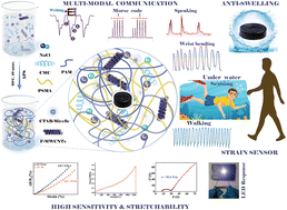 Graphical abstract: Multifunctional soft anti-swelling hydrogel-based sensor reinforced with carboxylated-MWCNTs and CMC for human motion detection and air–underwater communication