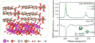Graphical abstract: Asymmetric coupling induces spin-flipping in the NiFe-MOF cocatalyst for boosting the BiVO4 photoanode water oxidation