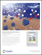 Graphical abstract: Back cover