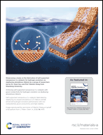 Graphical abstract: Back cover