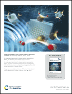 Graphical abstract: Back cover