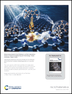 Graphical abstract: Back cover