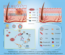 Graphical abstract: Co-assembled ion-pair complex nanoparticles from tranexamic acid and metformin with enhanced transdermal efficacy against UVB-induced pigmentation